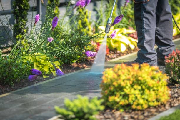 Best Patio and Deck Pressure Washing  in Butler Beach, FL